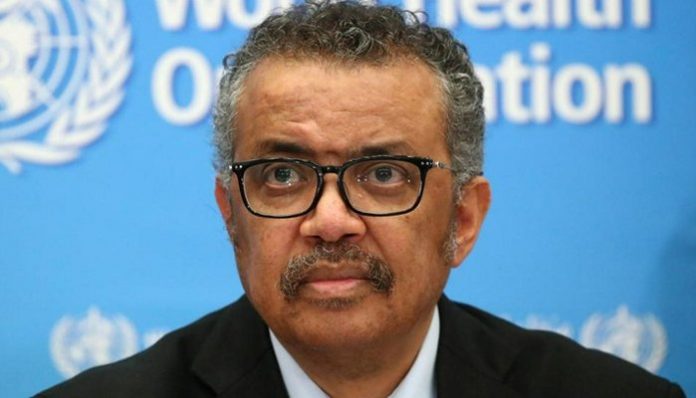 109675305_3256233954434874_7622538350264038999_o