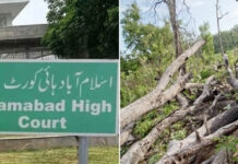 Islamabad High Court stops CDA from cutting trees
